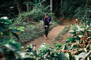 BIB: 
                            <button type="button" onclick="openModal(25857944)" class="btn btn-primary btn-sm float-right btn-popup" data-toggle="modal" data-target=".modal-high-quality">
                        <i class="fas fa-shopping-cart"></i> Add to Cart
                    </button>
                                            <button type="button" onclick="isThisMe(25857944, true)" class="btn btn-success btn-sm float-right btn-popup btn-isme hidden" data-toggle="tooltip" data-placement="bottom" title="นี่คือรูปของคุณใช่ไหม คลิกที่นี่เพื่อเอาเข้าอัลบั้ม">
                        <i class="fas fa-plus"></i> Add to album
                    </button>
                    <button type="button" onclick="isThisMe(25857944, false)" class="btn btn-warning btn-sm float-right btn-popup btn-isnotme hidden">
                        <i class="fas fa-ban"></i> Remove from album
                    </button>